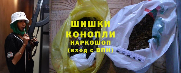 стаф Щигры