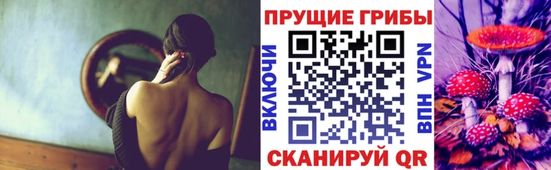 закладки  darknet формула  ОМГ ОМГ tor  Галлюциногенные грибы Cubensis  Таштагол 